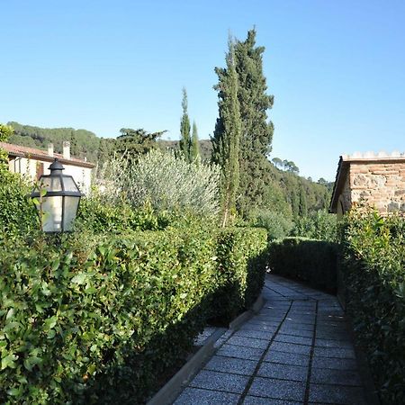 Monolocale Con Piscina S.Martino Lejlighed Riparbella Eksteriør billede